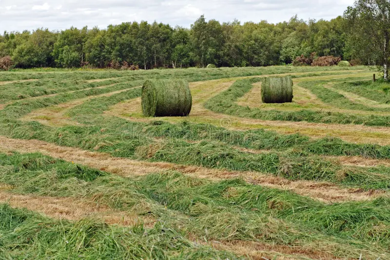 fauche de foin à l'autoguidage RTK