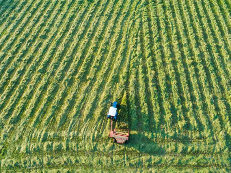 fauche à l'autoguidage RTK
